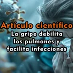 La gripe debilita los pulmones y facilita infecciones