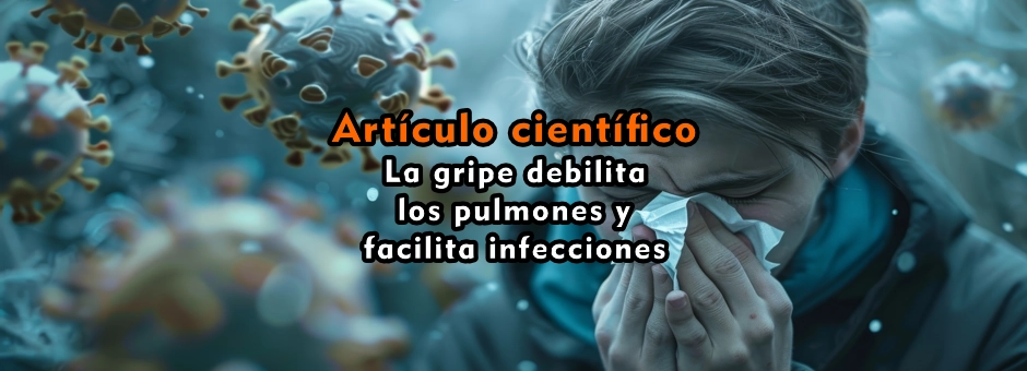 La gripe debilita los pulmones y facilita infecciones