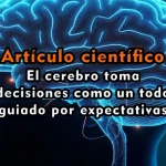 El cerebro toma decisiones como un todo guiado por expectativas