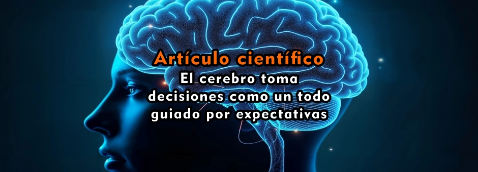 El cerebro toma decisiones como un todo guiado por expectativas