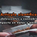 Adolescentes y cannabis: impacto en notas y ánimo